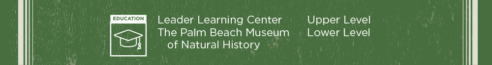 CLick to visit our Instagram page